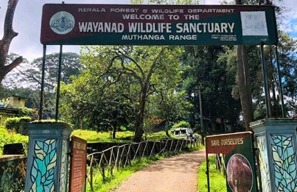 Wayanad Wildlife Sanctuary, Wayanad, Kerala - Vushii.com